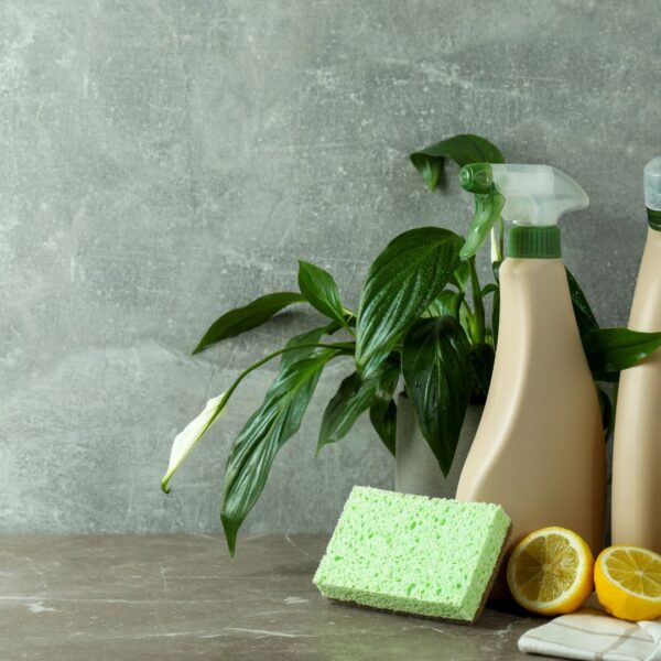 photo of eco-friendly cleaning products