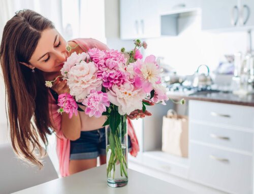 Professional House Cleaning Services
